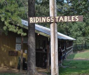Horseback Riding, Fall Creek Falls, Highland Rim Retreats.jpg